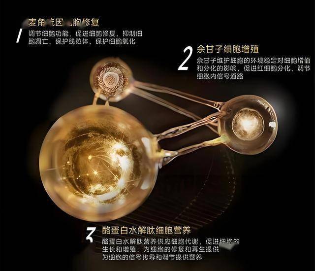 XM外汇平台监管掌握xm外汇官方网站的核心要点，让你轻松开启理财理财新篇章